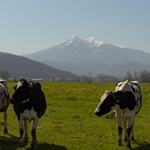 Het prachtige uitzicht vanaf uw balkon of terras op de pic de cagire in de pyreneen